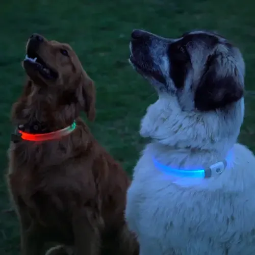 NiteHowl Max Rechargeable LED Necklace (Flat Band for Fluffy Coats)