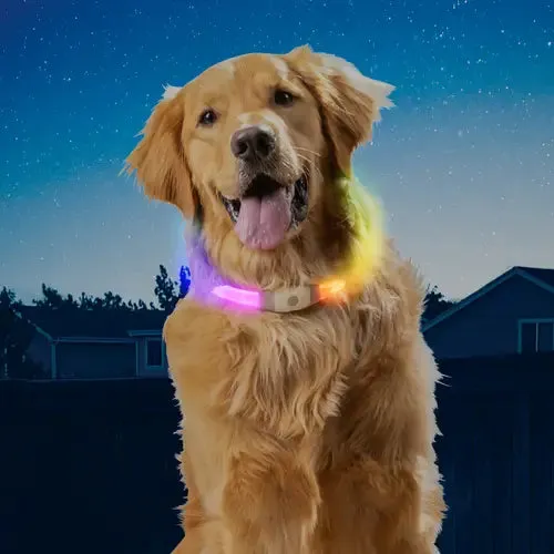 NiteHowl Max Rechargeable LED Necklace (Flat Band for Fluffy Coats)