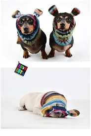 PUPPIA Knit Snood